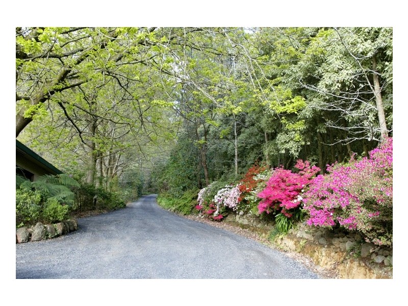 3 Ida Grove, Olinda VIC 3788