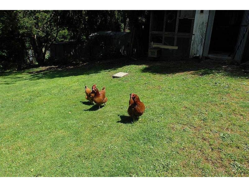 16 Allen Road, Monbulk VIC 3793