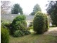8 Colehurst Crescent, Sassafras VIC 3787