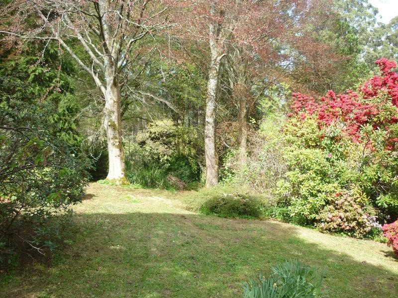 8 Colehurst Crescent, Sassafras VIC 3787