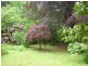 8 Colehurst Crescent, Sassafras VIC 3787