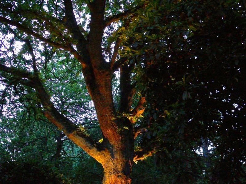 14 Cards Lane, Olinda VIC 3788