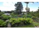 6 Heather Grove, Belgrave South VIC 3160