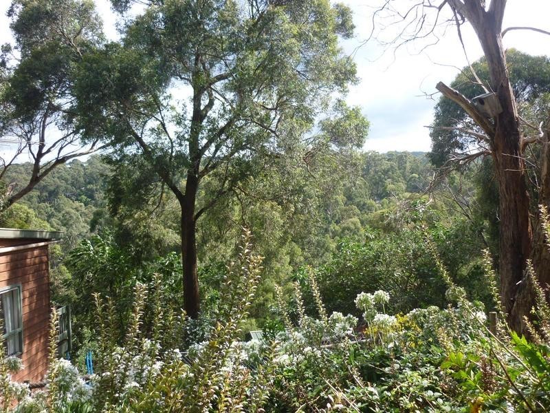 41 Waratah Avenue, Belgrave VIC 3160