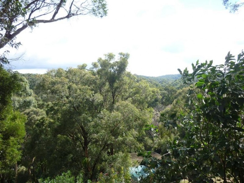 41 Waratah Avenue, Belgrave VIC 3160