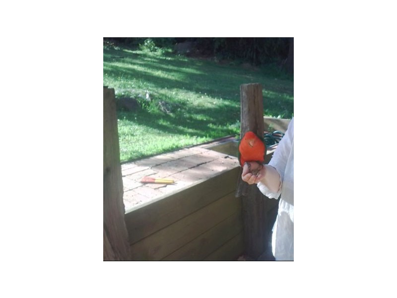 23 Belgrave Hallam Road, Belgrave VIC 3160