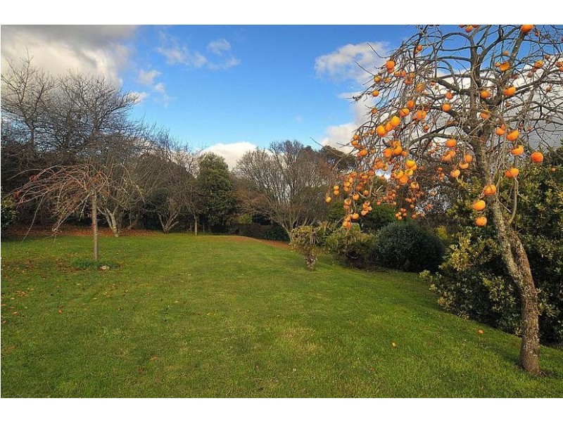 76 Ridge Road, Kallista VIC 3791