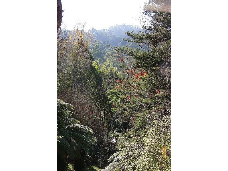 342 Mount Dandenong Tourist Road, Sassafras VIC 3787