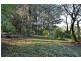13 Grandview Grove, Sassafras VIC 3787