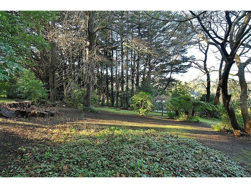 13 Grandview Grove, Sassafras VIC 3787