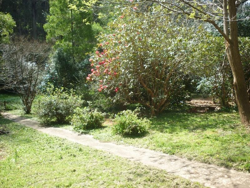 4 Camms Road, The Patch VIC 3792