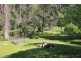36 Bellbird Street, Belgrave VIC 3160