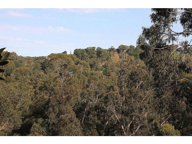 59 Kaola Street, Belgrave VIC 3160