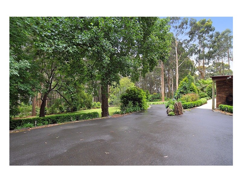 14 Mt Erin Road, Ferny Creek VIC 3786