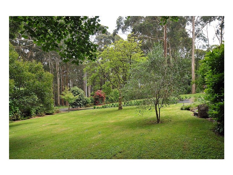 14 Mt Erin Road, Ferny Creek VIC 3786