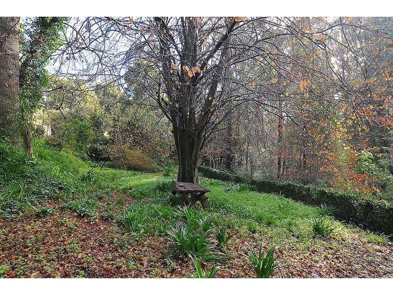 2 Helena Avenue, Kallista VIC 3791