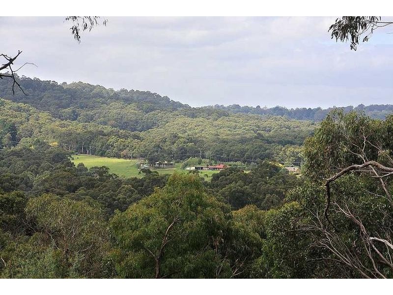 11 Horizon Road, Selby VIC 3159