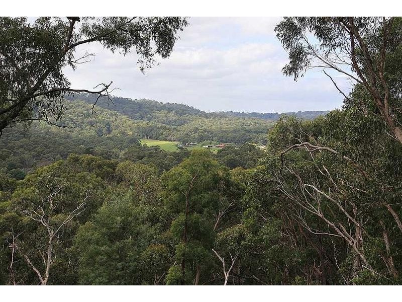 11 Horizon Road, Selby VIC 3159