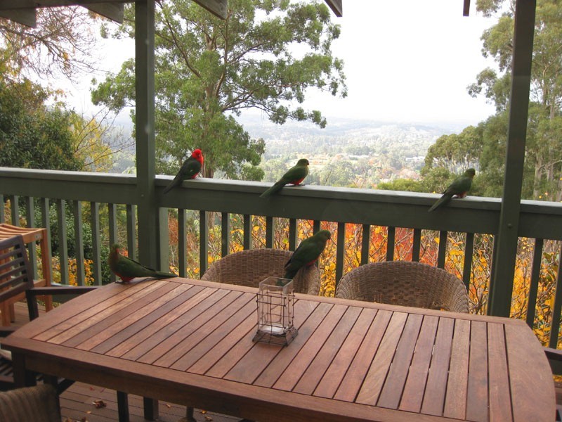 8 Locarno Avenue, Kallista VIC 3791