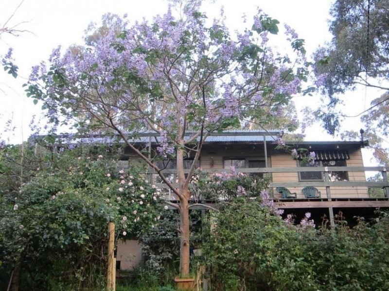 3 KAOLA STREET, Belgrave VIC 3160