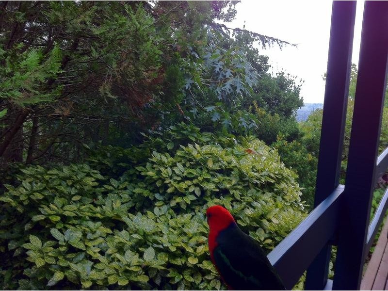 2 Alpine Crescent, Kallista VIC 3791