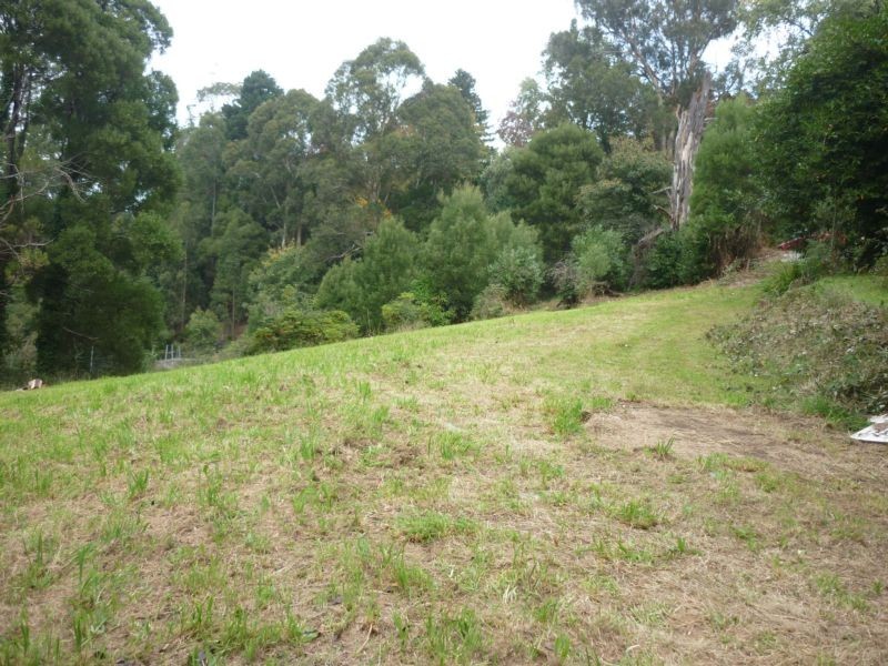 13 Wedgewood Avenue, Belgrave VIC 3160