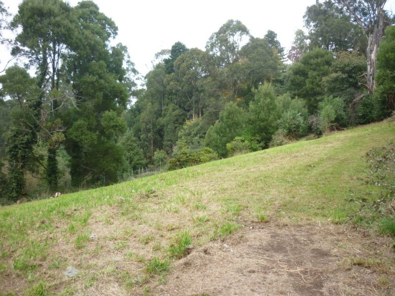 13 Wedgewood Avenue, Belgrave VIC 3160