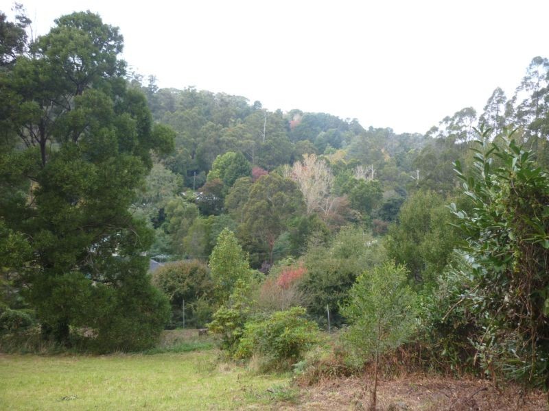 13 Wedgewood Avenue, Belgrave VIC 3160