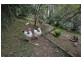 8 Creek Road, Belgrave VIC 3160