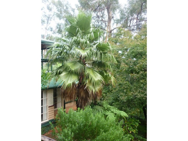 Selby VIC 3159