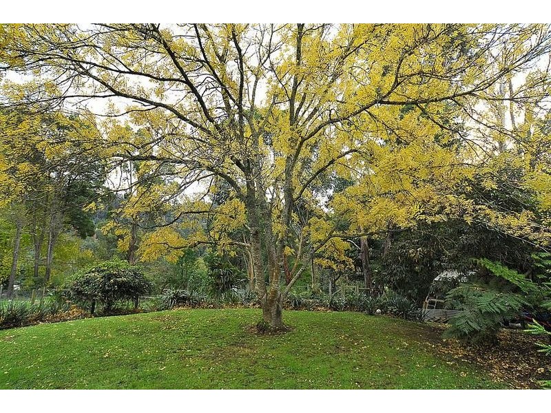 23 Georges Road, The Patch VIC 3792