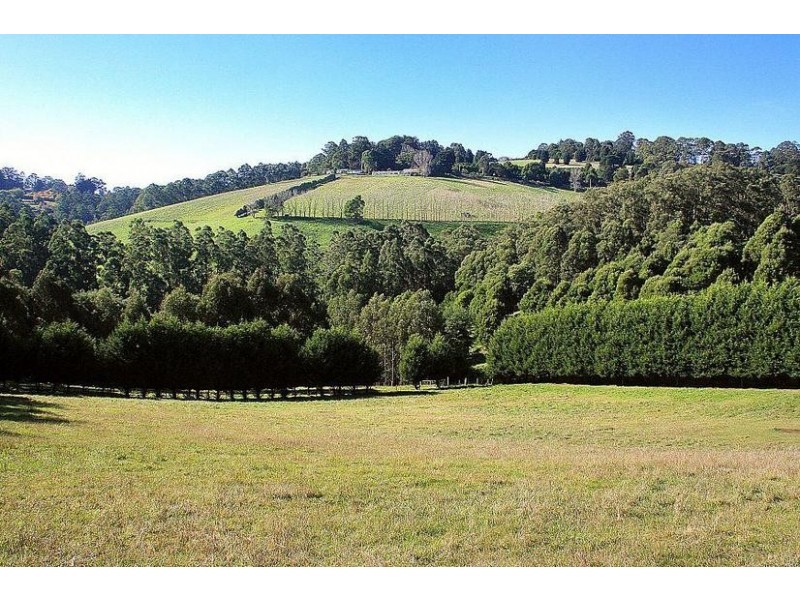 191 Belgrave-Gembrook Road, Selby VIC 3159