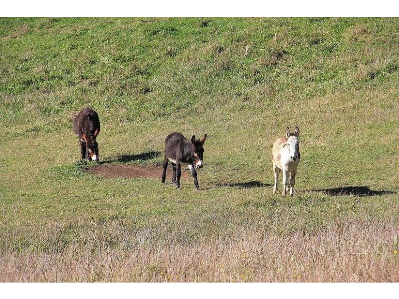 191 Belgrave-Gembrook Road, Selby VIC 3159