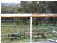 445 Old Emerald Road, Monbulk VIC 3793