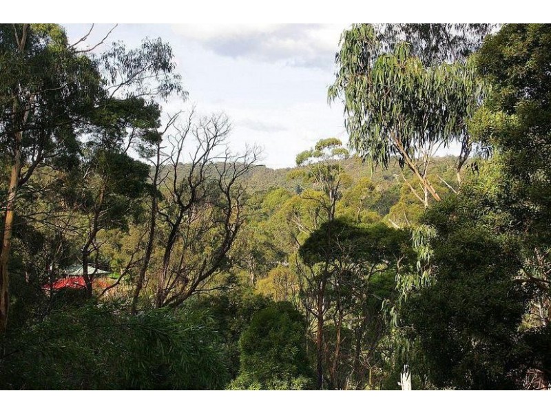 31 Kaola Street, Belgrave VIC 3160