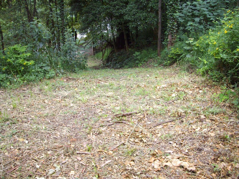 24 Gleghorn Road, Kallista VIC 3791