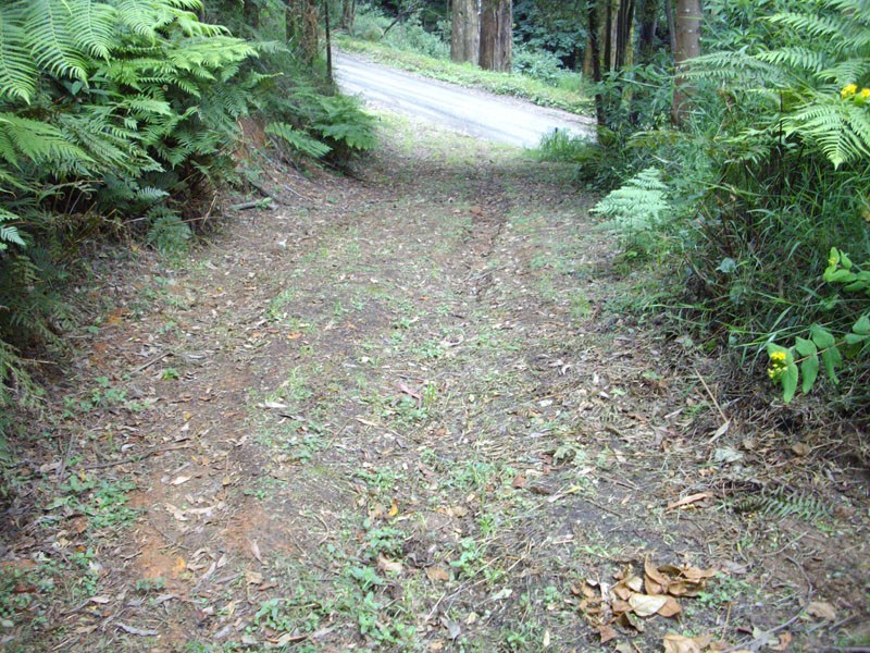 24 Gleghorn Road, Kallista VIC 3791