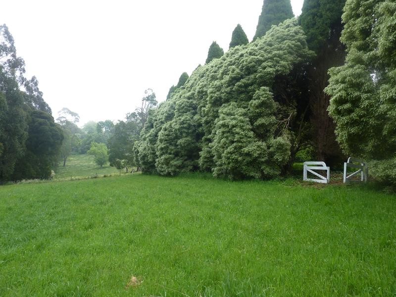 29A One Tree Hill Road, Ferny Creek VIC 3786