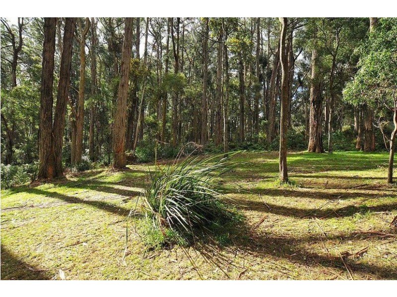 14 Forest Road, Belgrave VIC 3160