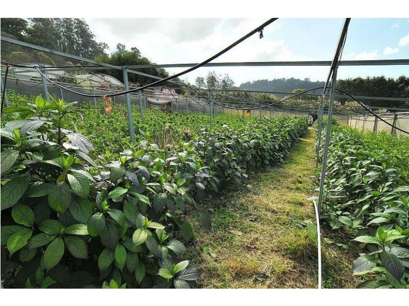 31 Kallista-Emerald Road, The Patch VIC 3792