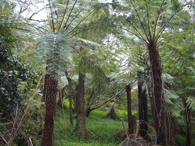 9 Selby-Aura Road, Selby VIC 3159