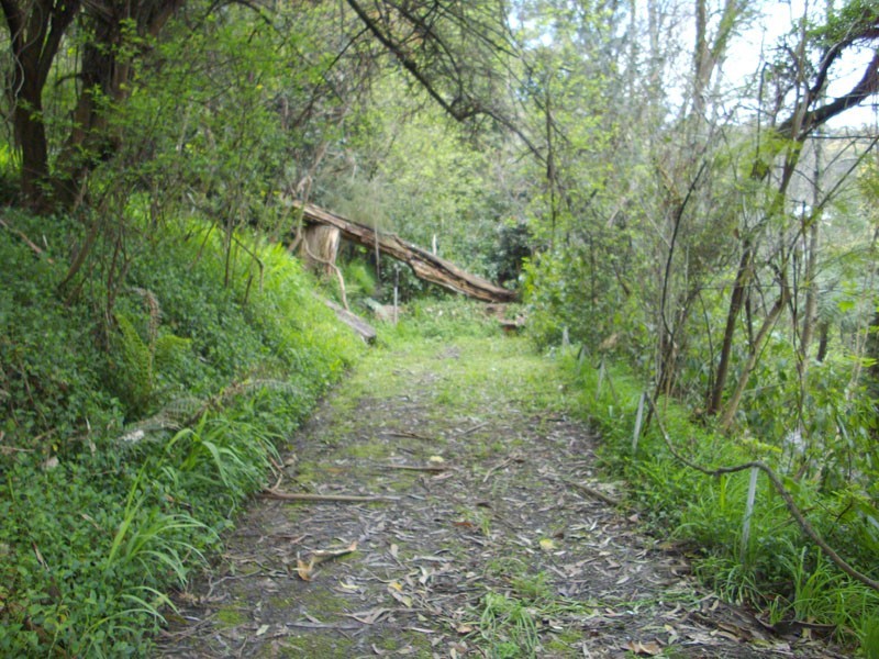 9 Selby-Aura Road, Selby VIC 3159