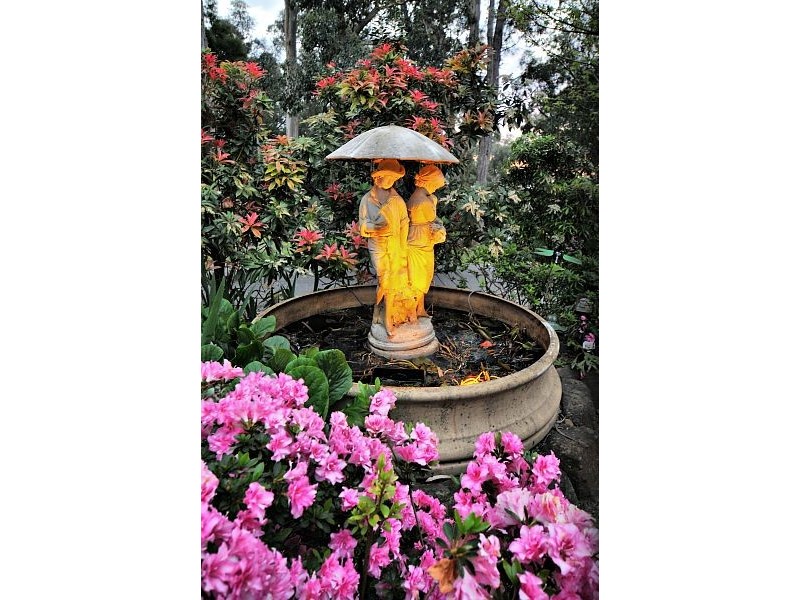 87 Terrys Avenue, Belgrave VIC 3160