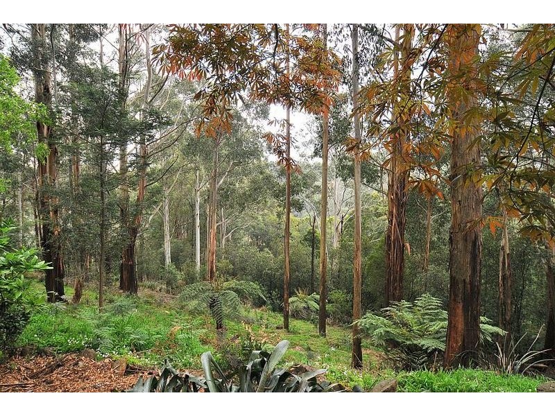 26 Grantulla Road, Selby VIC 3159