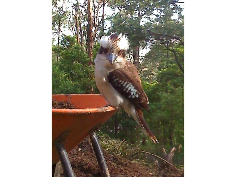 6 View Road, Tecoma VIC 3160