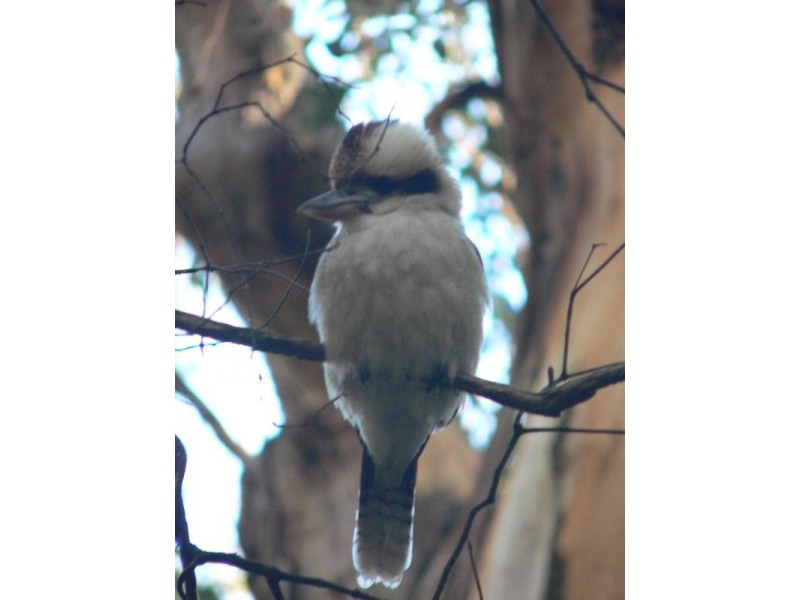 6 View Road, Tecoma VIC 3160