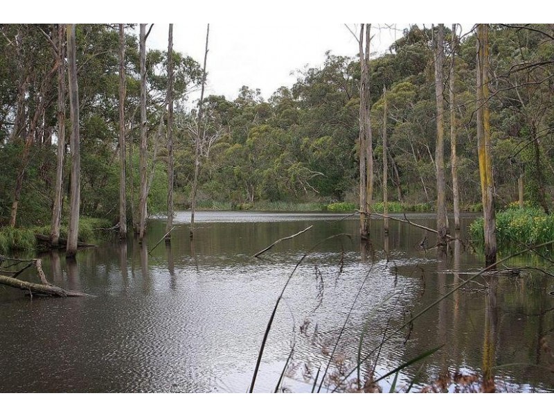 25 Old Menzies Creek Road, Menzies Creek VIC 3159