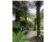 29 Terrys Avenue, Belgrave VIC 3160