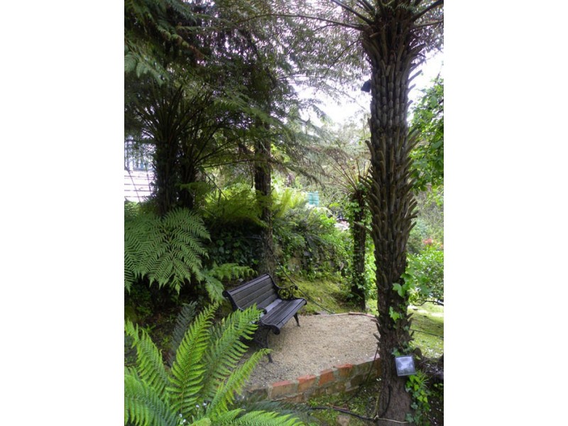 29 Terrys Avenue, Belgrave VIC 3160