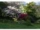 29 Terrys Avenue, Belgrave VIC 3160